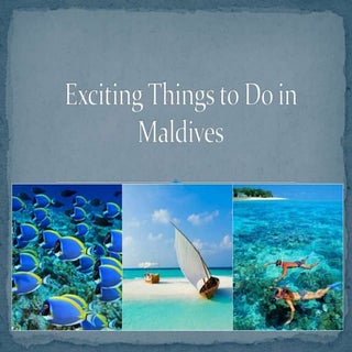 Exciting Things to Do in Maldives