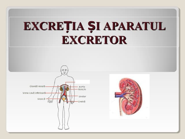 Boli ale sistemlui circulator la om
