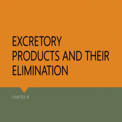 Excretory Products and their Elimination 