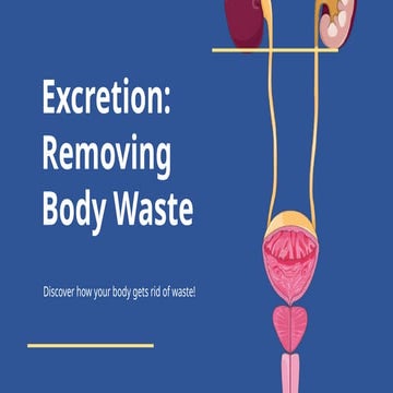 Excretion [Autosaved].pptx .............................