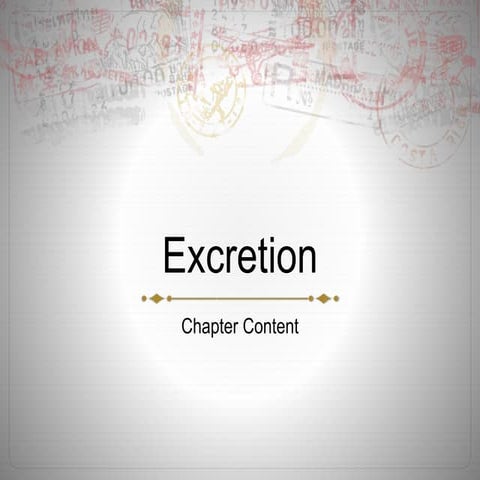 Excretion: Chapter Content