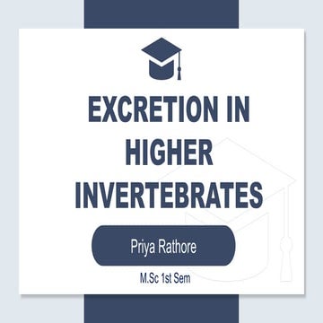 Excretion in higher invertebrates.pptx