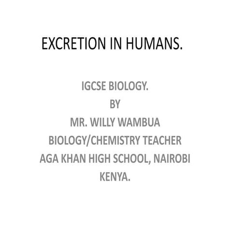 Excretion in humans