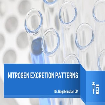 Excretion patterns | PPTX