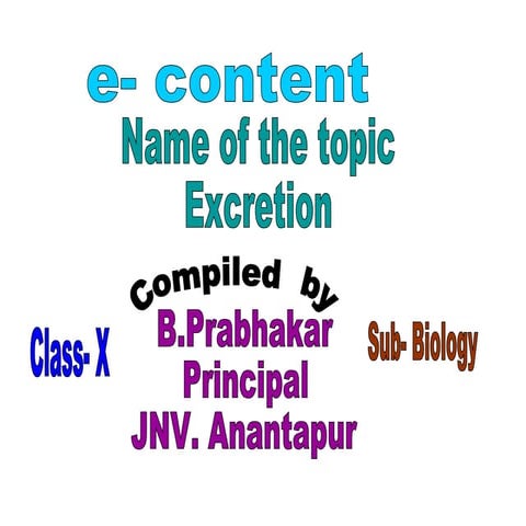 Excretion ppt