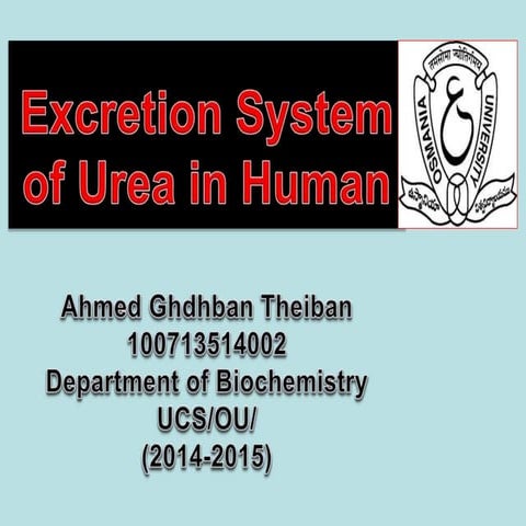 Excretion system of urea in human revise by Ahmed  Ghdhban Alziaydi