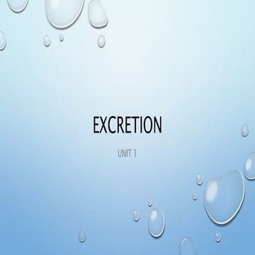 EXCRETION Unit 2.pptx