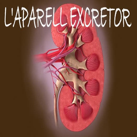 APARELL EXCRETOR