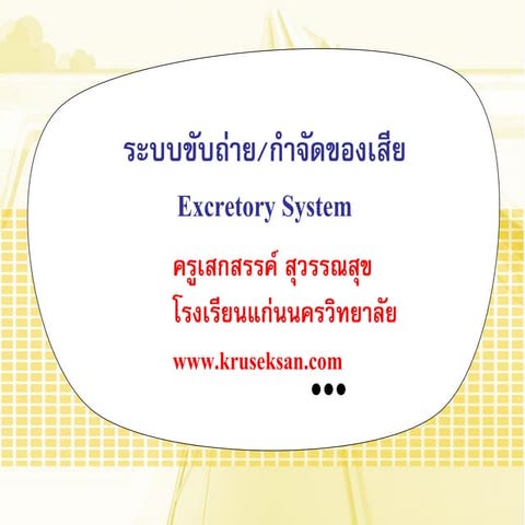 ระบบกำจัดของเสีย (Excretory System)