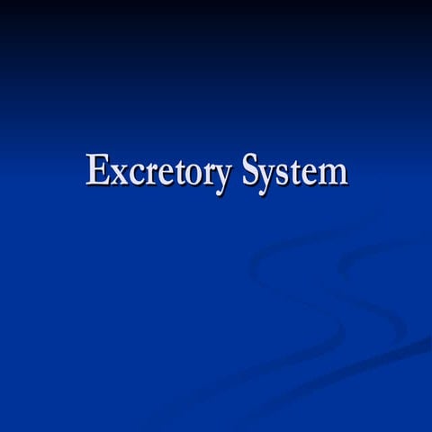 Excretory System