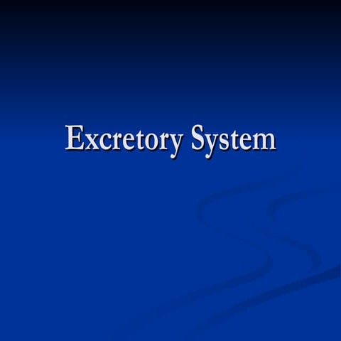 Excretory System
