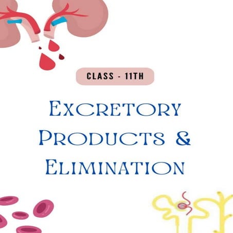 Excretory Products And Their Elimination Class 11th