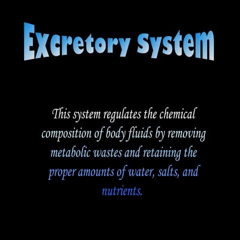 Excretory system