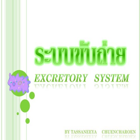 Excretory system ม.5