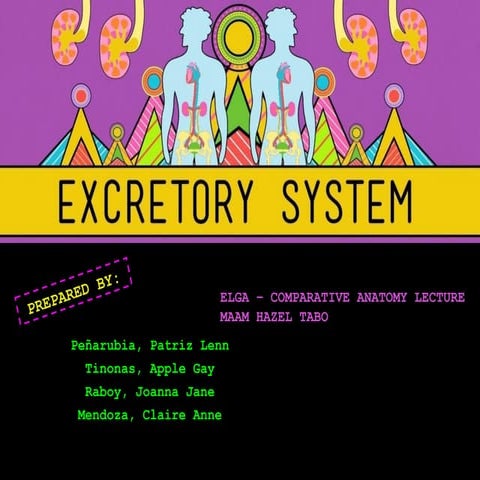 Comparative Anatomy - Nervous System | PPTX