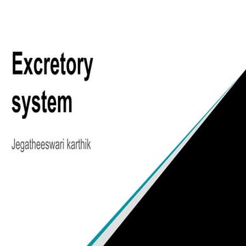 Excretory system