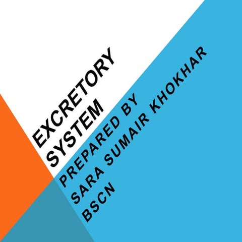 Excretory System.pptx