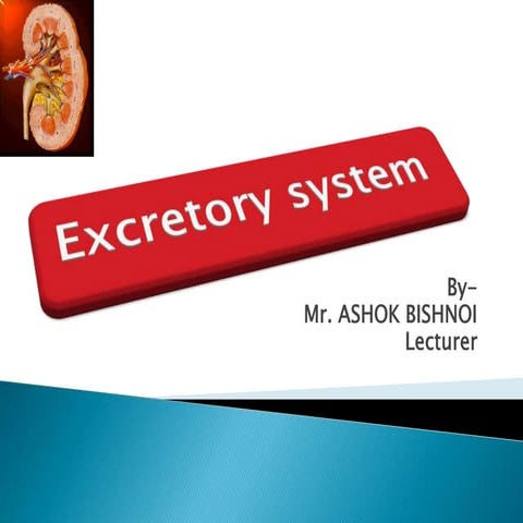 ppt on Excretory system akki