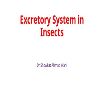 Excretory System  in insects ( PPT Presentation)