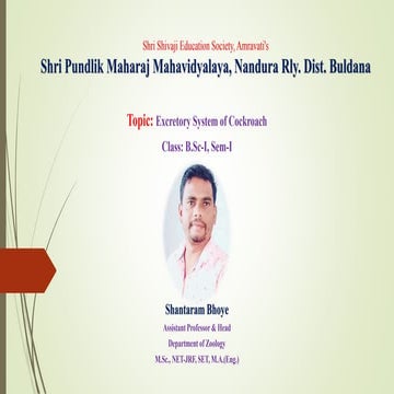 Excretory system of Cockroach.pptx