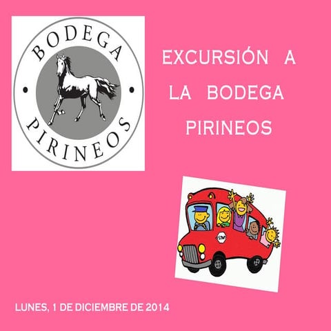 Excursión a la bodega pirineos