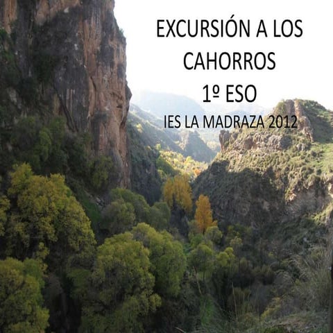 Excursión a los Cahorros 1º ESO 2012