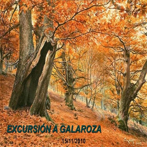 Excursión Galaroza