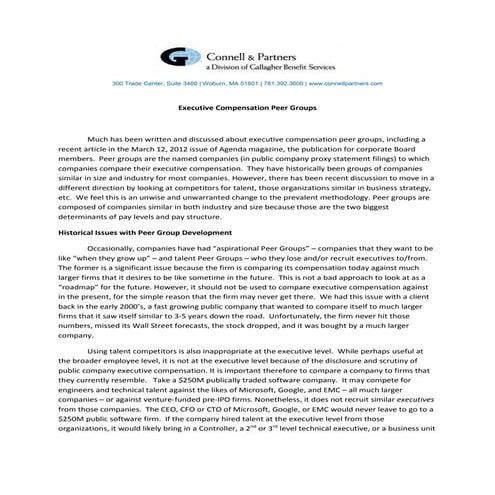 Exec comp peer groups doc (2)