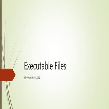 The executable formats (PE, ELF, HEX, SREC AND ...)