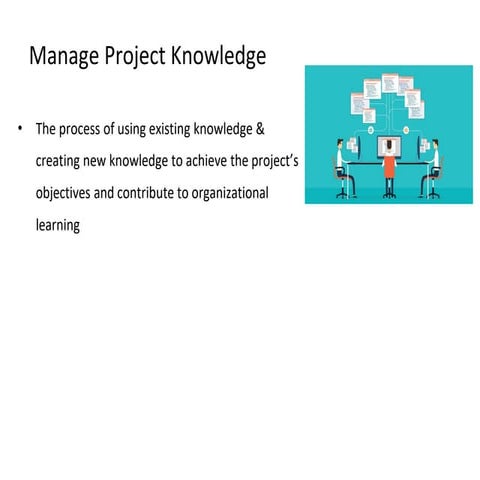 Executing the Project (1).pdf