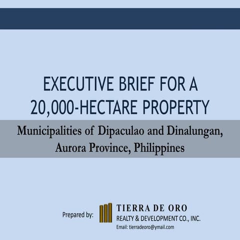 Executive Brief on Aurora property | PDF
