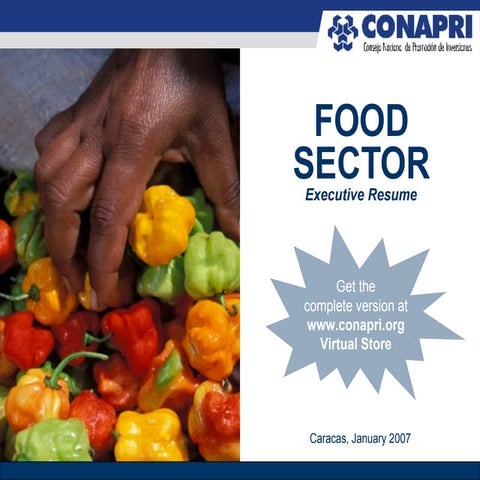 Executive Resume of the Food Sector Business Profile (2007)
