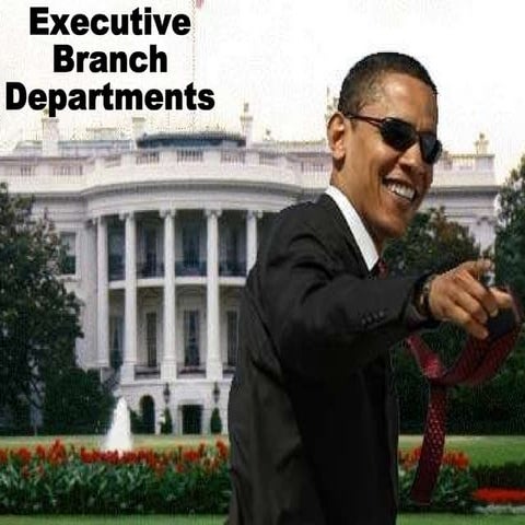 Executive Branch