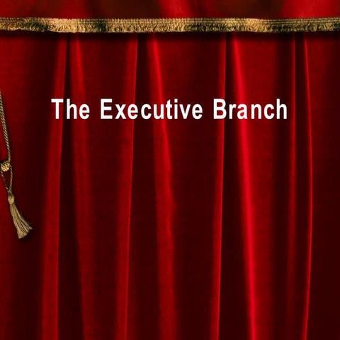 The Executive Branch and the Bureaucracy