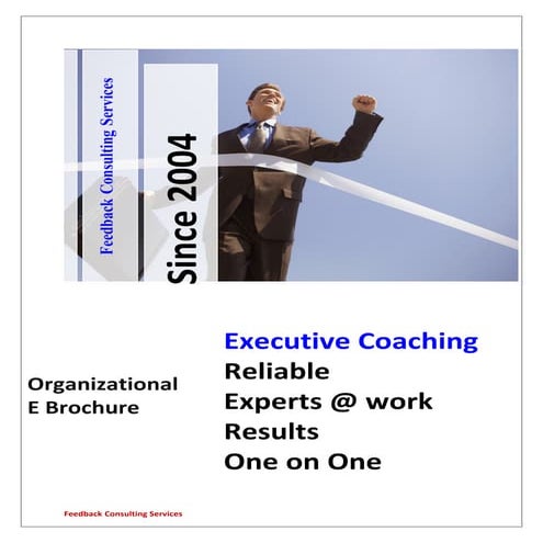 Executive coaching organizational profile