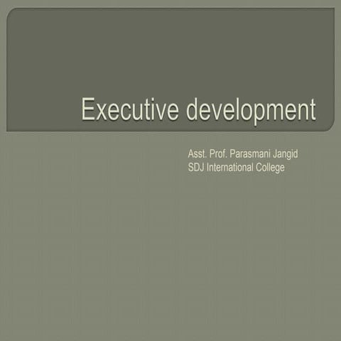 Executive Development