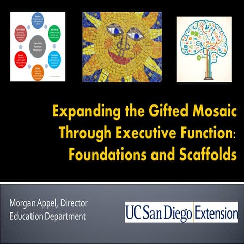 Parent Seminar on Executive Functioning for the Gifted and Talented