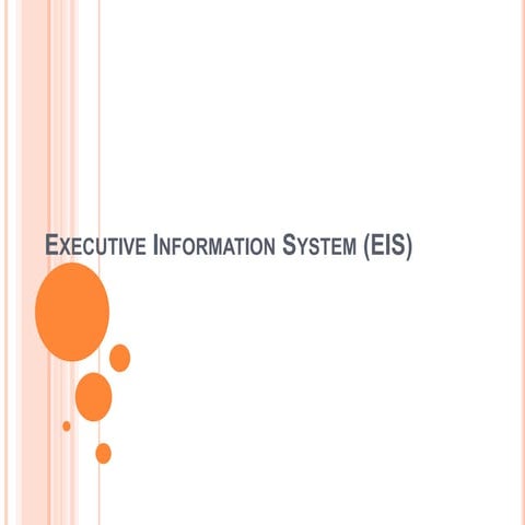 Executive information system (EIS)