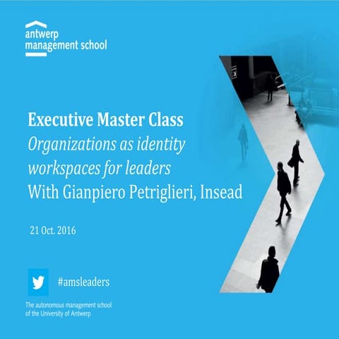 Executive Master Class - Organizations as identity workspaces for leaders