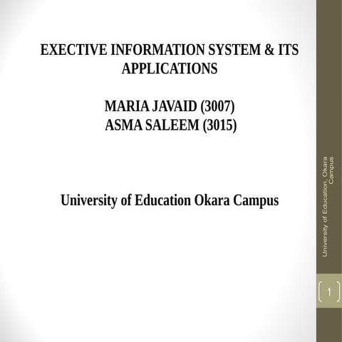 Executive Information System