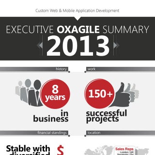 Executive summary 2013 oxagile