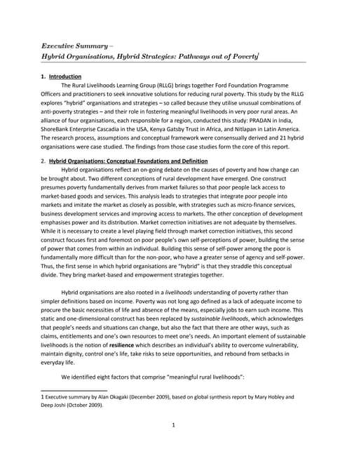 Exec Summary   Hybrids Synthesis Report (Dec 09)