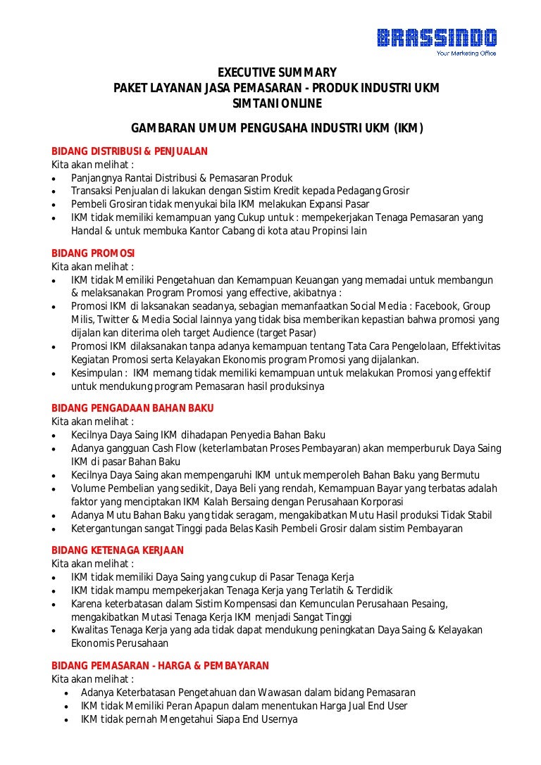 Premium business plan template picture