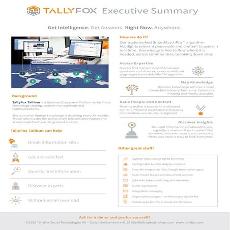 TallyFox Executive Summary