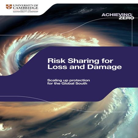 CISL: Executive Summary Risk Sharing for Loss and Damage | PDF