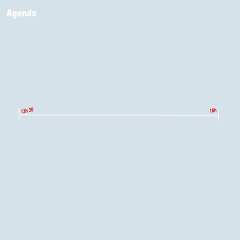 Template for software demo