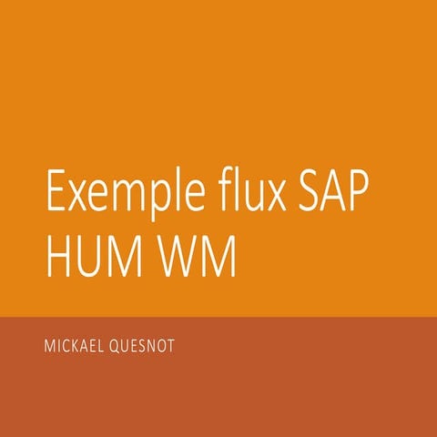 Exemple flux sap_hum wm | PDF