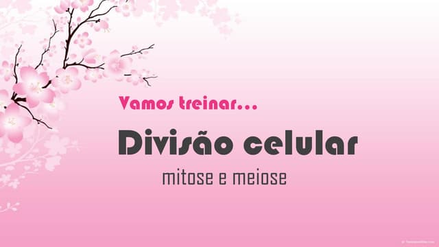 Exercícios divisão celular meiose e...