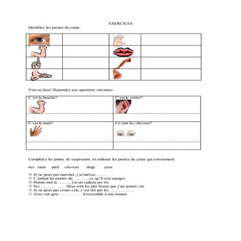 Exercice sle corps humain