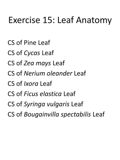 Lec 2 plant cell structures